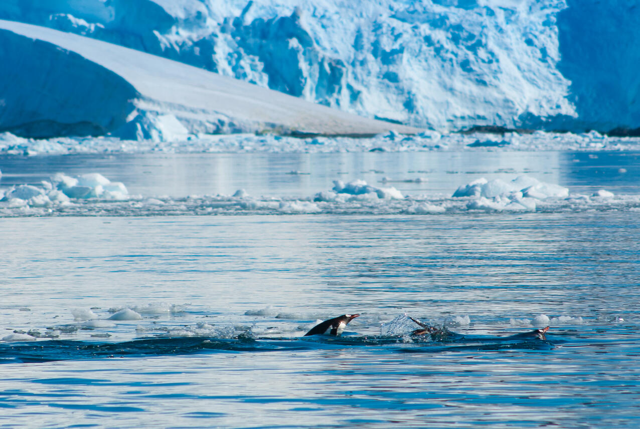 How you survive the coldest place on Earth